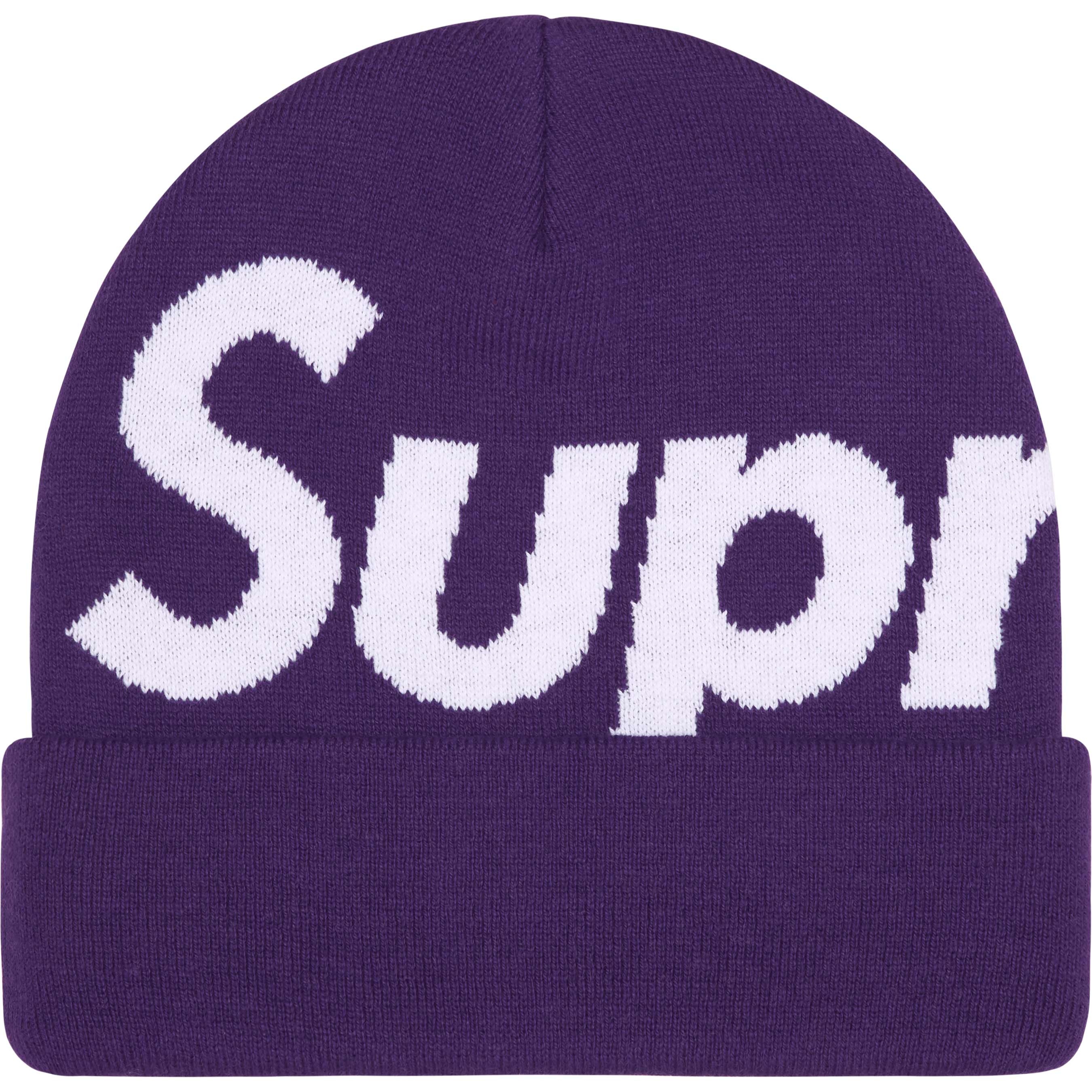 Big Logo Beanie view 4